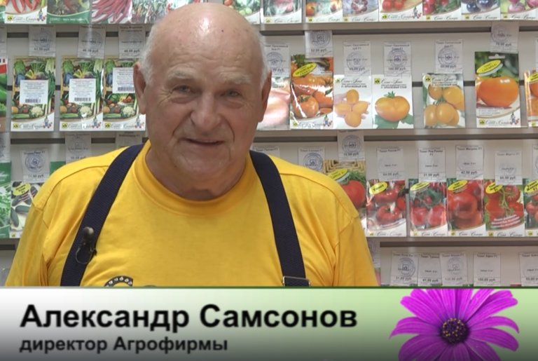 дачные советы от 10.10.2025