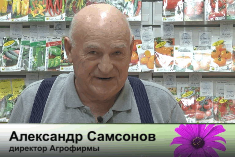 дачные советы от 06.11.2025