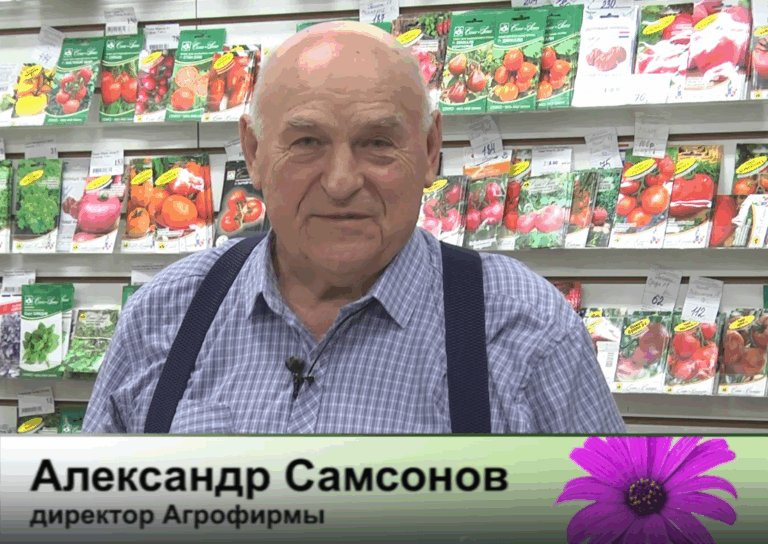 дачные советы от 20.11.2025