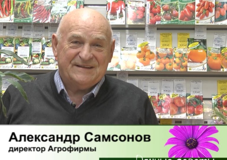 дачные советы от 30.10.2025