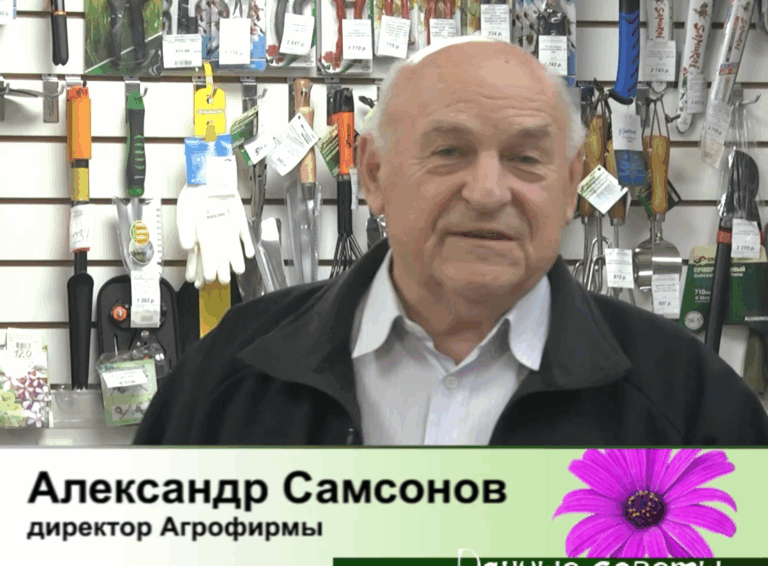 дачные советы от 04.12.2025
