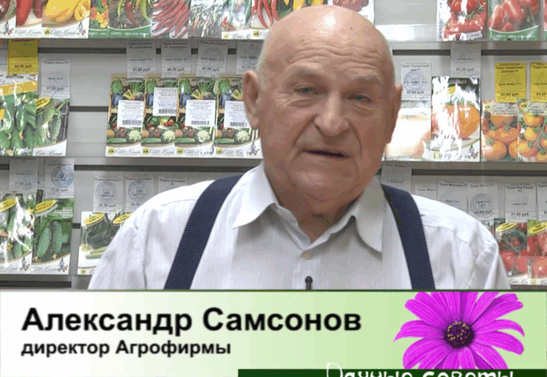 дачные советы от 11.12.2025