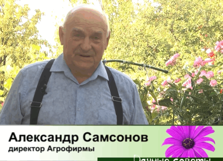 дачные советы от 25.12.2025