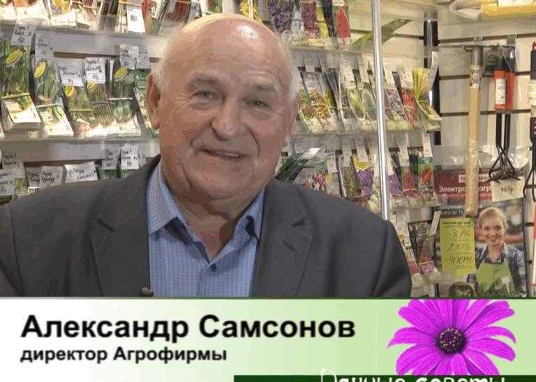 дачные советы от 27.11.2025