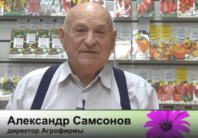 дачные советы от 18.12.2025