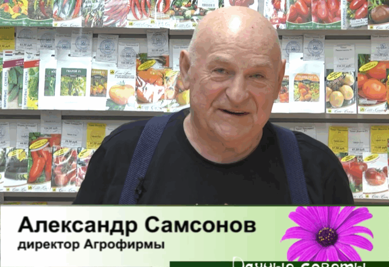 дачные советы от 15.01.2026