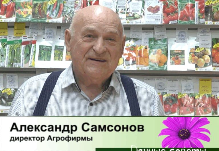 дачные советы от 22.01.2026