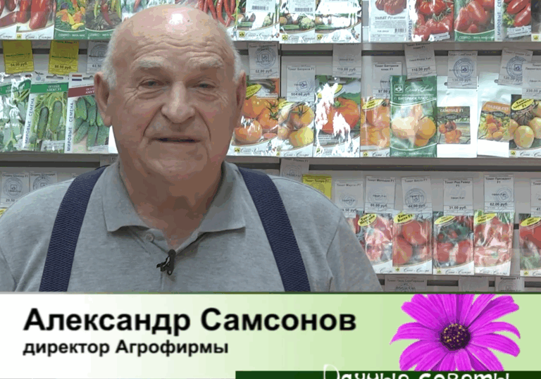 дачные советы от 05.02.2026