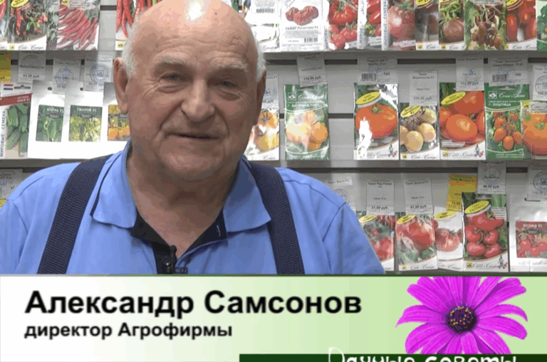 дачные советы от 19.02.2026
