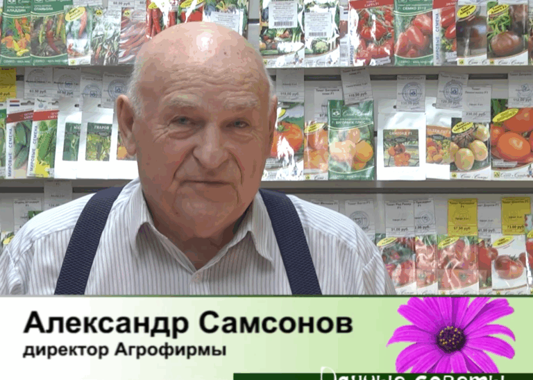 дачные советы от 29.01.2026