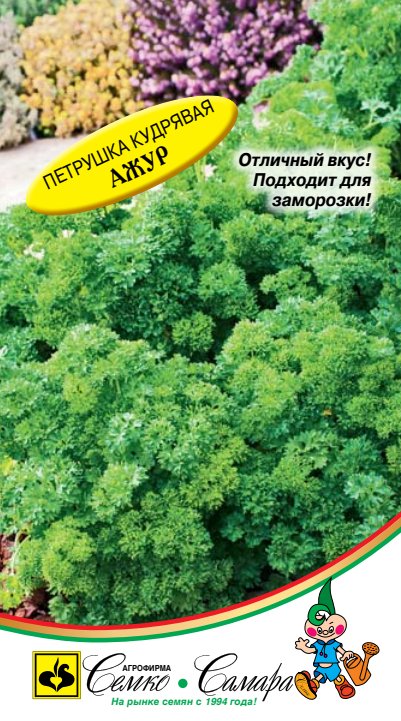 ажур