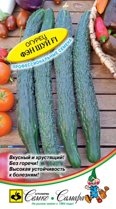 фэн шуй