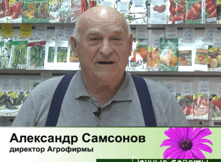 дачные советы от 05.03.2026