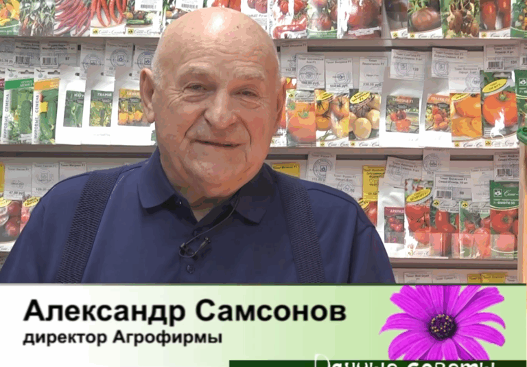 дачные советы от 12.03.2026