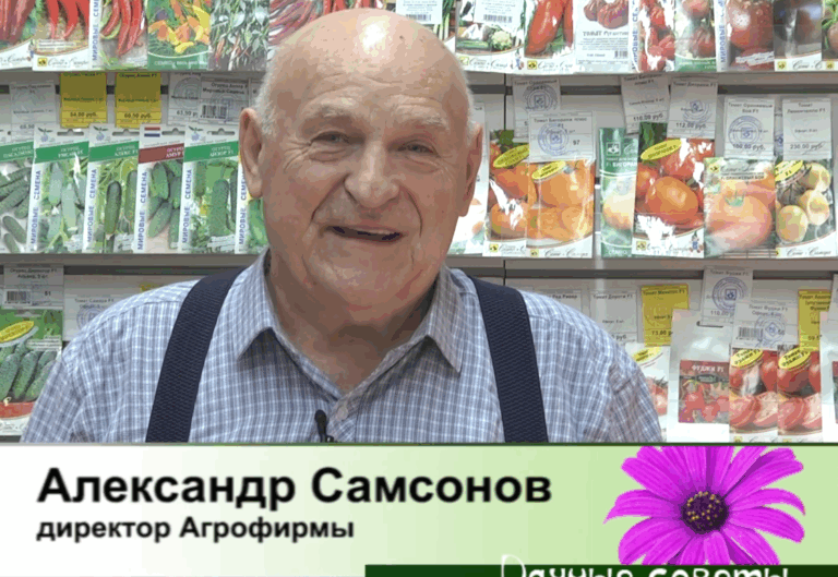 дачные советы от 19.03.2026