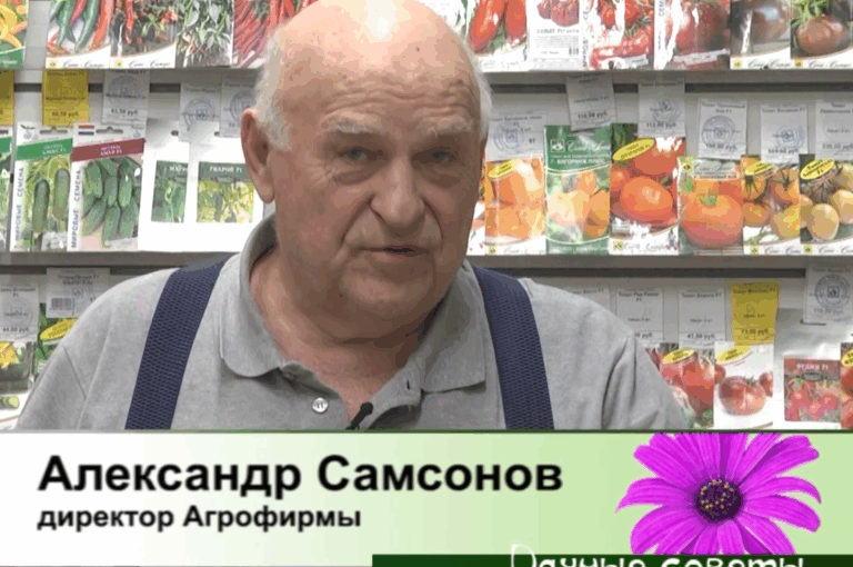 дачные советы от 26.02.2026