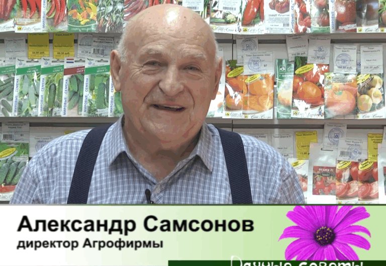 дачные советы от 19.03.2026
