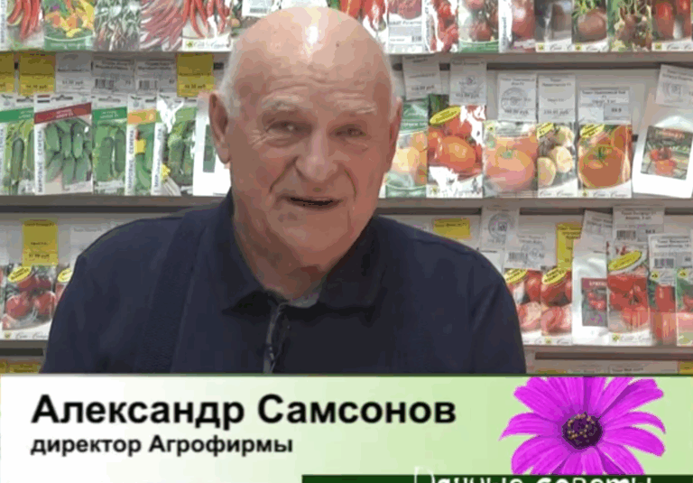 дачные советы от 02.04.2026