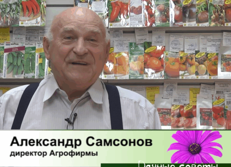 дачные советы от 09.04.2026