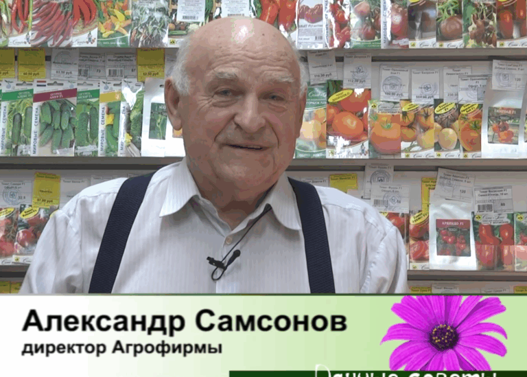 дачные советы от 16.04.2026