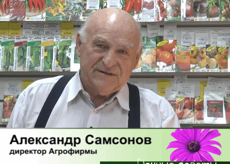дачные советы от 23.04.2026
