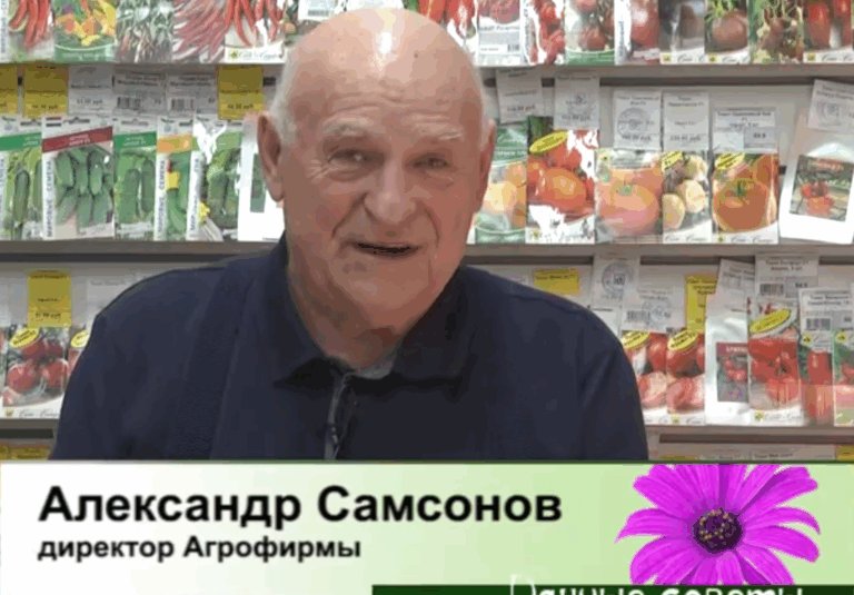 дачные советы от 02.04.2026