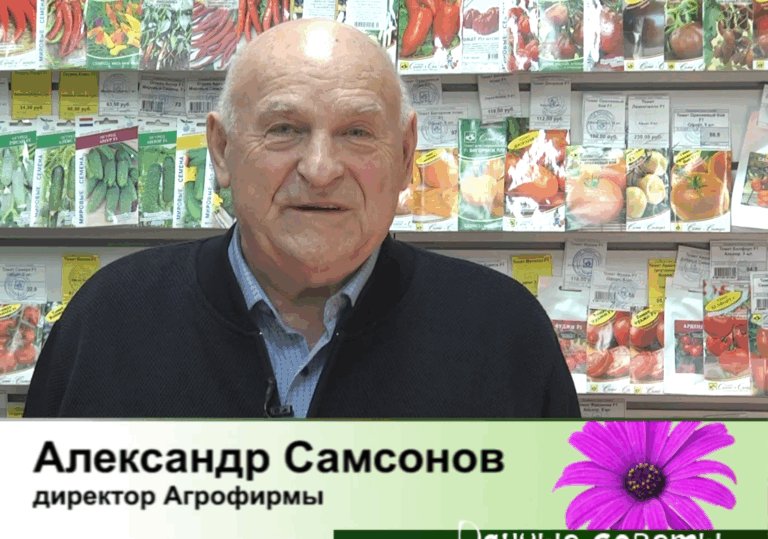 дачные советы от 26.03.2026