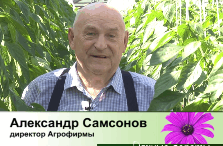 дачные советы от 07.05.2026
