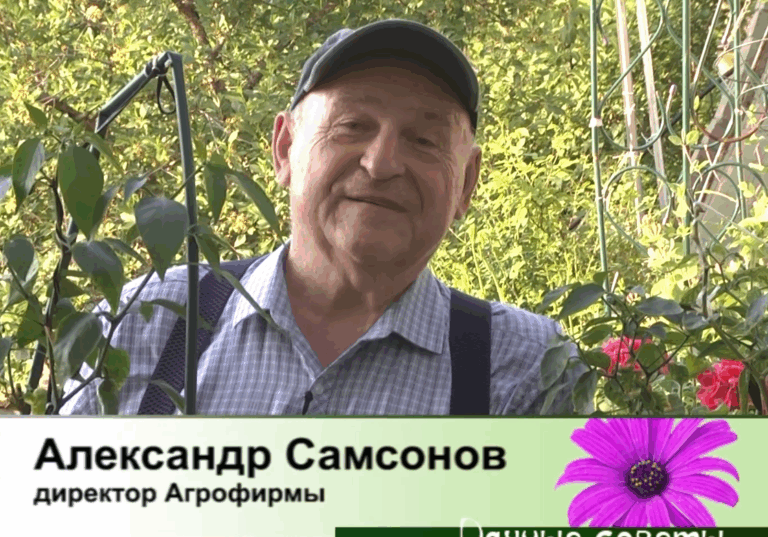 дачные советы от 21.05.2026
