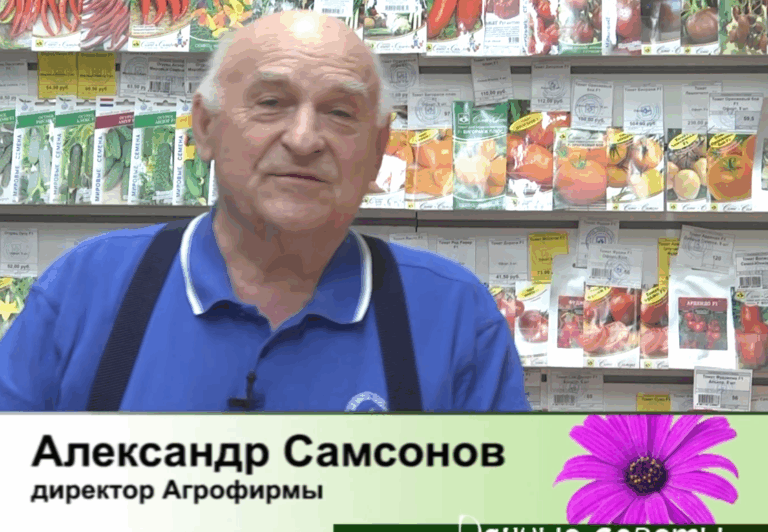 дачные советы от 30.04.2026