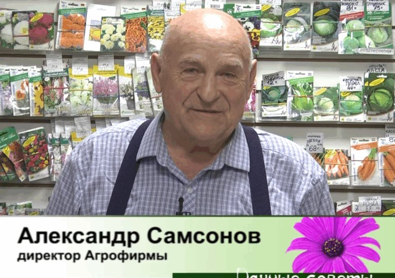 дачные советы от 14.05.2026