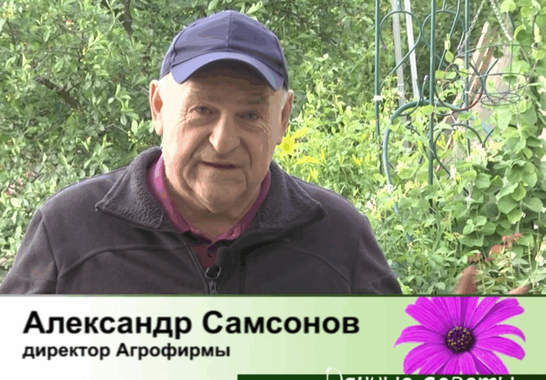дачные советы от 02.06.2026