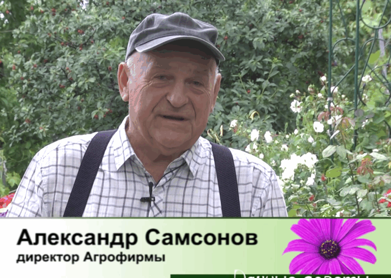 дачные советы от 18.06.2026