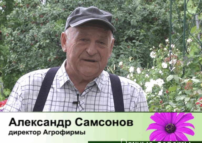 дачные советы от 18.06.2026