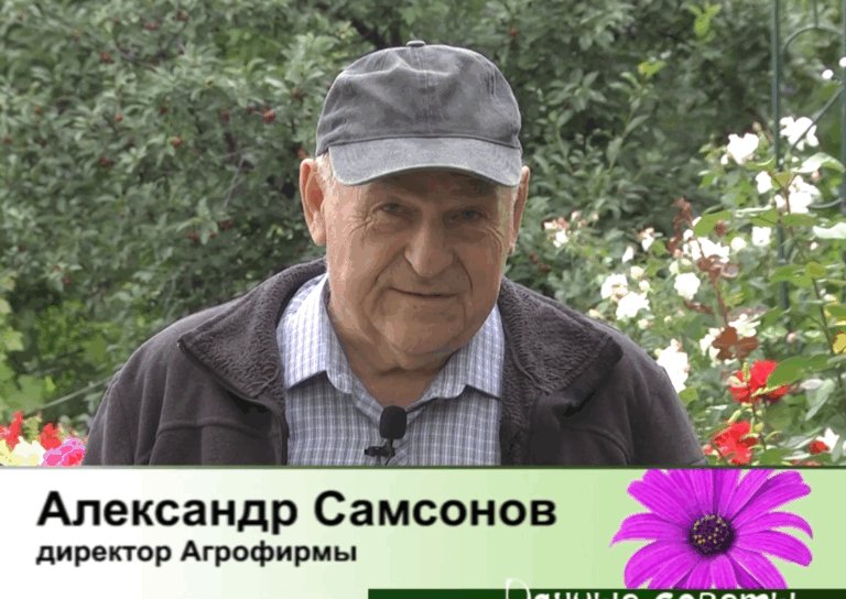 дачные советы от 02.07.2026