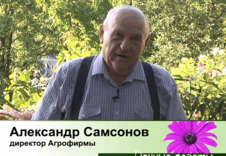 дачные советы от 07.07.2026