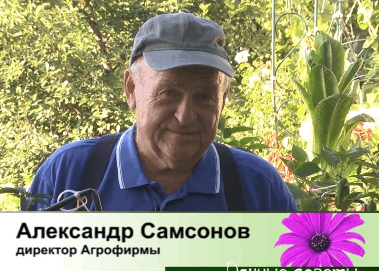 дачные советы от 16.07.2026
