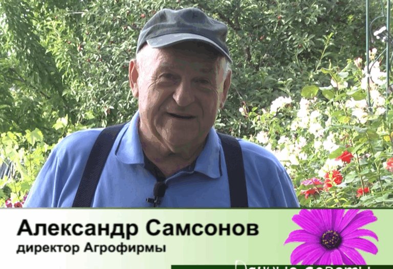 дачные советы от 25.06.2026