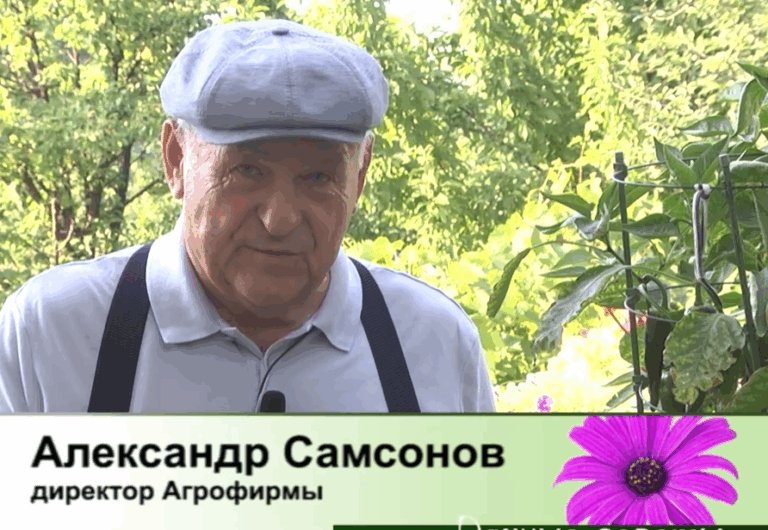 дачные советы от 06.08.2026
