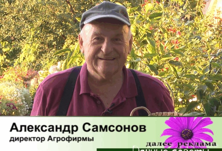дачные советы от 13.08.2026