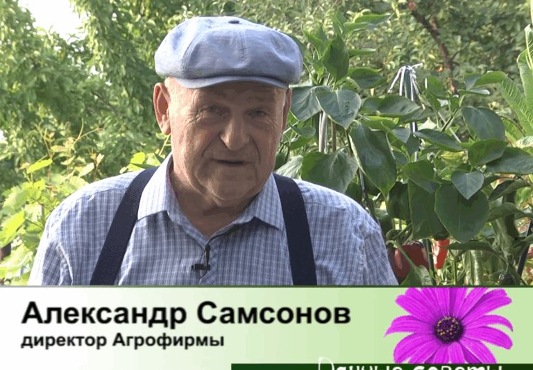 дачные советы от 27.07.2026