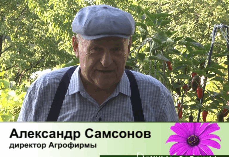 дачные советы от 30.07.2026