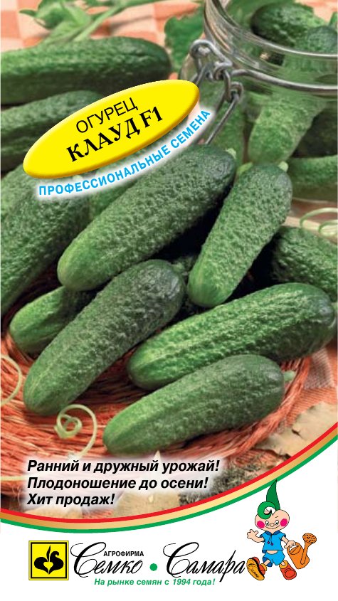 Огурец Клауд F1 — 5 семян